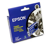 Epson Stylus Photo R310 T0491 x1 Black Gen.