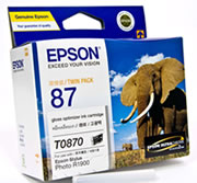 Epson Stylus Photo R1900 T0870 x1 Gen.