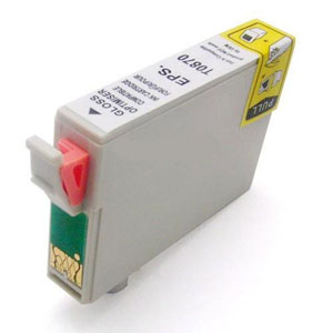 Epson Stylus Photo R1900 T0870 x1 Comp.