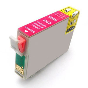 Epson Stylus Photo R1900 T0873 x1 Magenta Comp.