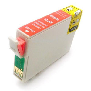Epson Stylus Photo R1900 T0879 x1 Comp.